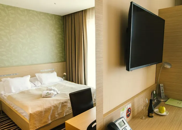 Ponteo - Activity Park 4*