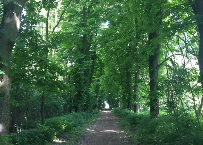 Ponteo - Activity Park Hotel