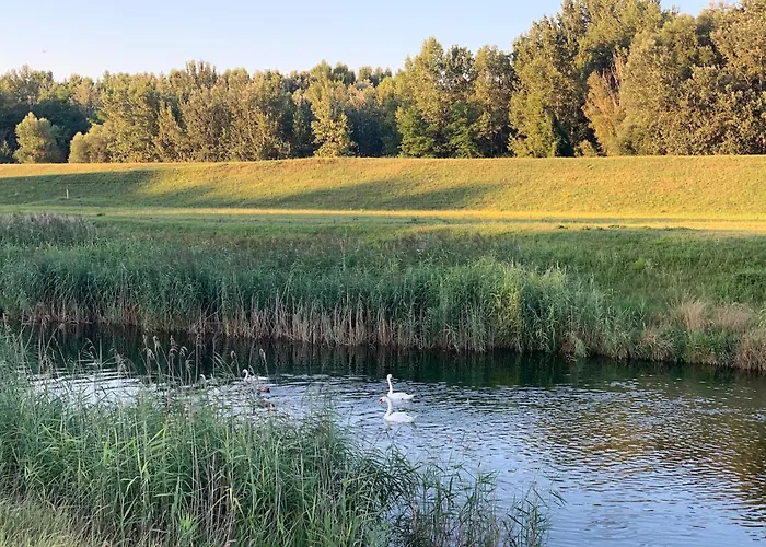 Ponteo - Activity Park 4*